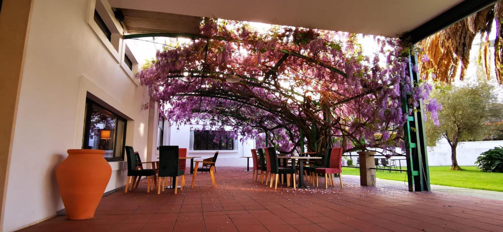 Hostel Vina Femita Villafranca Del Bierzo Exteriér fotografie